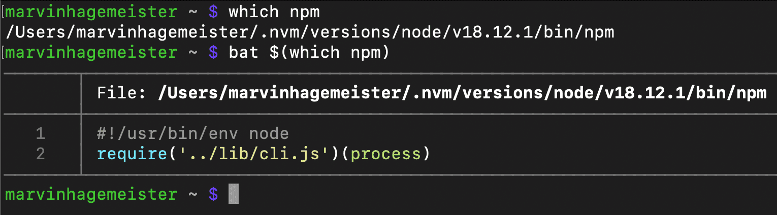 Inspecting the npm binary by calling it with node